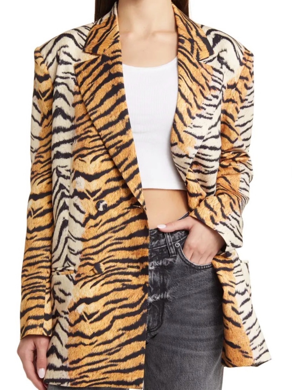 Dressed in LALA Tiger-Print Blazer in Black, White & Gold